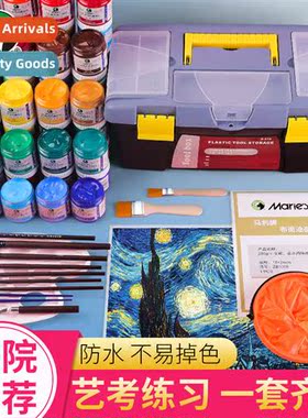 Acrylic paint set 100ml cans  12 colors for students wh art