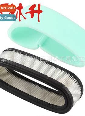 Air Filter 适用Briggs & Stratton 394019 272490S 400700