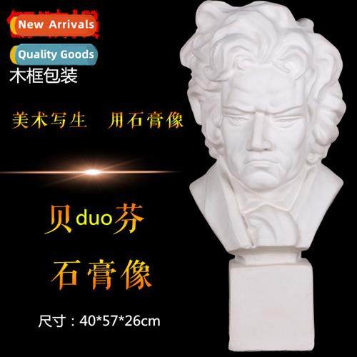 Bei Duen Bust Art Supplies Plaster Figure Plaster Teaching A