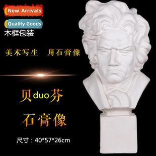 Bei Duen Bust Art Supplies Plaster Figure Plaster Teaching A