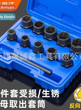 11 Piece Damaged Rusty Nut Bolt Screw Tire Screw Remover N-S
