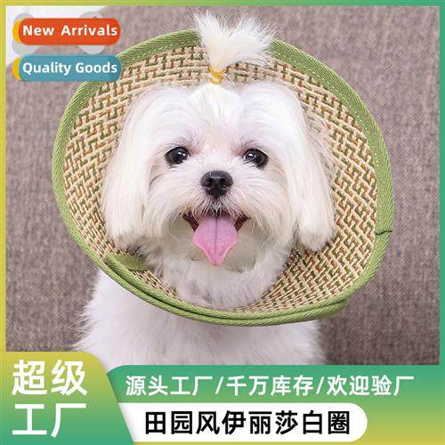 pet Elizabeth ring cat small dog dog head cover collar suppl