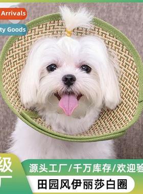 pet Elizabeth ring cat small dog dog head cover collar suppl