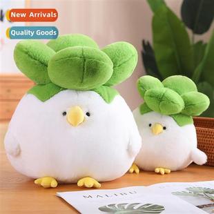 ltle vegetable bird Dull cabbage fat doll chicken cute