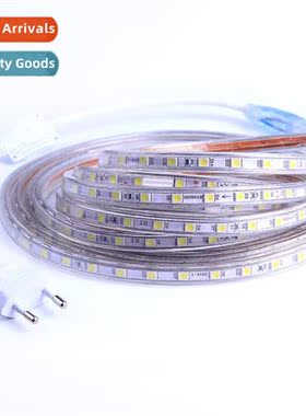 5050 Strip Light LED High Voltage 220V Flexible Strip Light