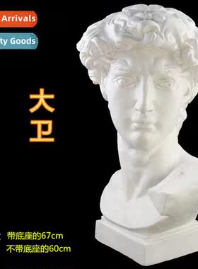 Art Exam Art Supplies Sketching Teaching Aids David Plaster