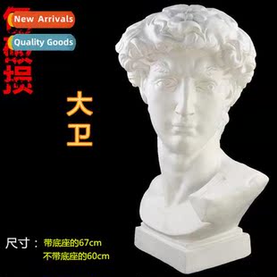 Art Exam Art Supplies Sketching Teaching Aids David Plaster