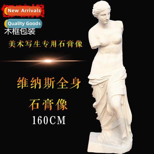 Brt 1.6 meters full body Venus plaster statue full body plas