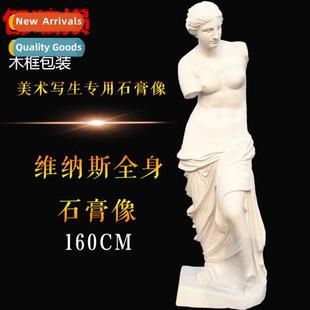 full body Venus Brt statue meters plaster plas 1.6