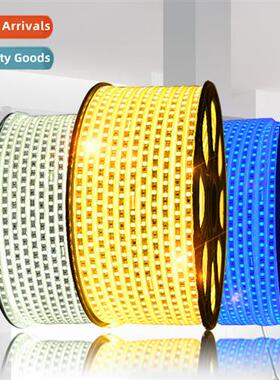 led5050 light strip high voltage 220V e meter 60 beads water