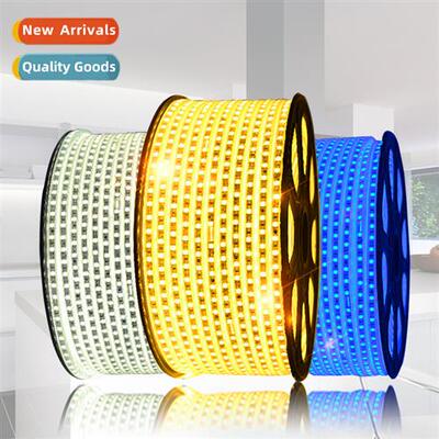 led5050 light strip high voltage 220V e meter 60 beads water