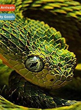 Diamd painting new DIY animal snake full round diamd hmade p