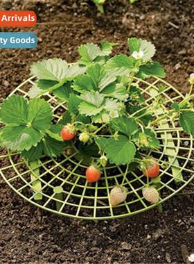 Plastic Strawberry Rack Planting Tray Gardening Balcy Pottin