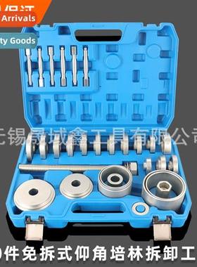 Automobile frt wheel bearing dismantling  inati tools Elevat