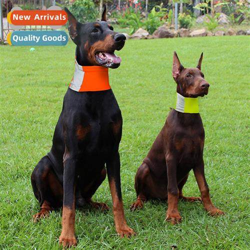 Dog Travel Drool Triangle Towel Teddy Golden Hair Reflective