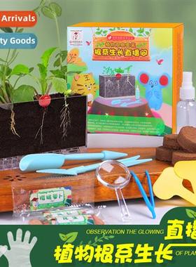 Plant observati window sunroom childrens planting growing sm