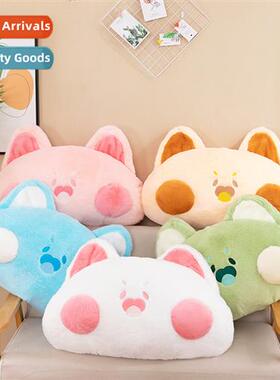 New doodle cat cushi plush toy doll can doodle pa doll pillo