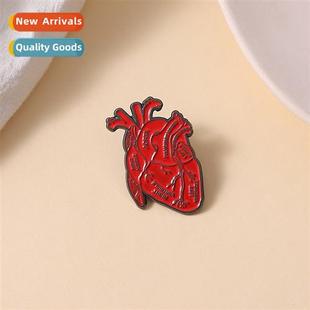 anatomical heart and creative doctors red brooch New alloy