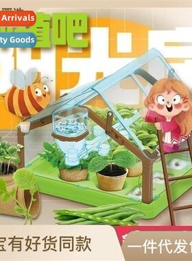 Mini planting sunroom children plant observati window seed b