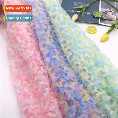 Gradient color chiff ribb roses embroidery fabric womens chi