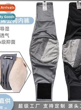 Graphene Pet Physiology Pants Antibacterial Breathable Absor