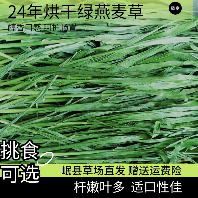 烘干提草优质头茬烘干燕麦草兔子干草豚鼠龙猫草料一箱1000g包邮