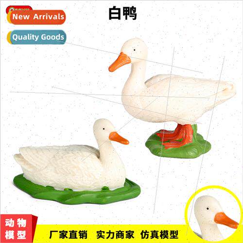 Animal duck model solid static poultry duck mallard duck mal