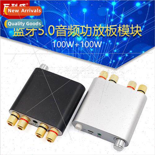 100W+100W Bluetooth 5.0 Audio Amplifier Board Module 2.0 Dua
