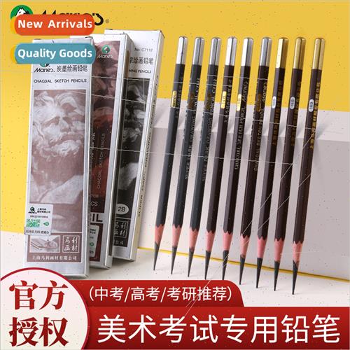 Sketching Pencils Artisan Artist Complete Charcoal Pencils E图片