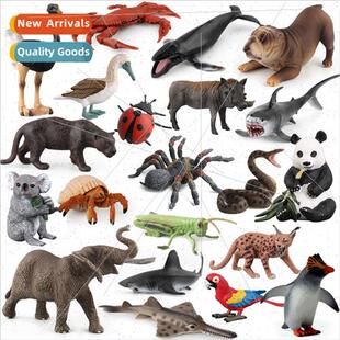 marine life whale hand penguin shark painted whe Solid great