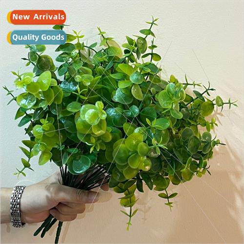 Ins retro eucalyptus money leaf branch small fresh simulatio
