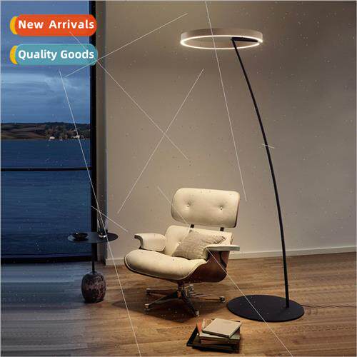 Italian light luxury floor lamp designer  modern simple atmo