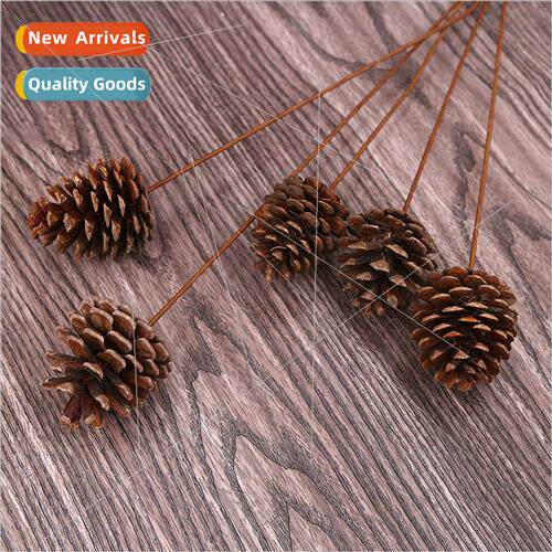 Dried bouquet pine cones decoration diy natural dried flower