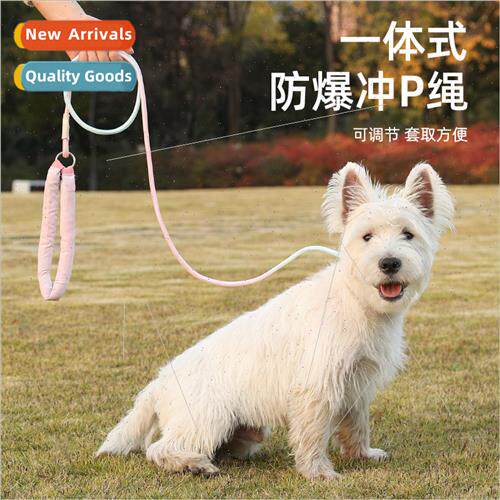 Dog leash explosion-propunch P chain dog walking leash anti-