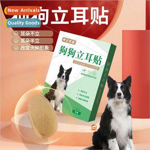 dog sti Stickers corrective care ear box sets Ear Standing