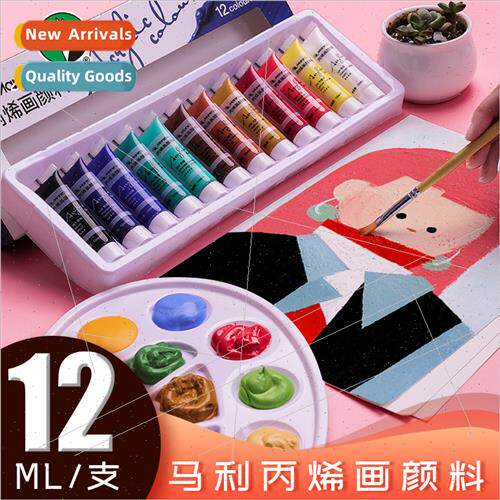 Acrylic paint set 12ml plastic tube students waterproBing th