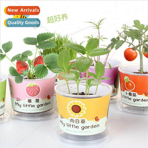 ttle Doudin Toys DIY negative ion green plant small pot plan