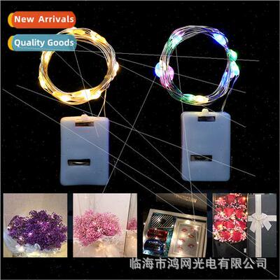 New led light string copper wire light 2032 button battery s
