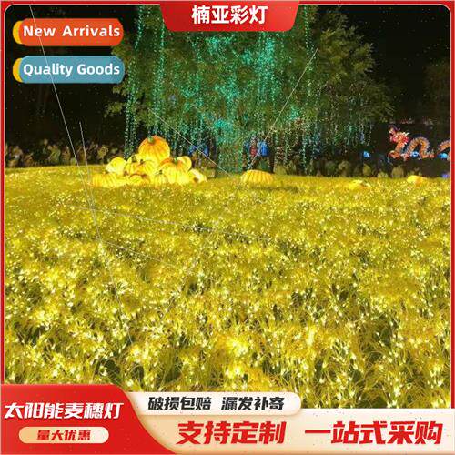 Outdoor solar energy ground insert landscape light led rice