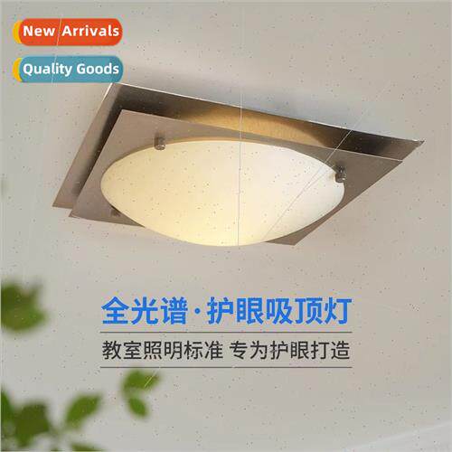 Full Spectrum French Medieval Pebble Cream Stone Ceiling ght