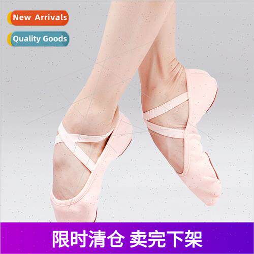 Dance Shoes Women Soft Bottom Practice Shoes Adult Modern Sh