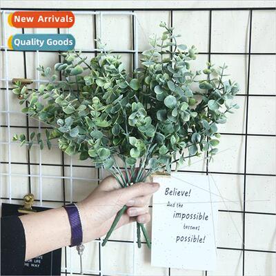 mulation flowers ins Eucalyptus money leaves spray whe small