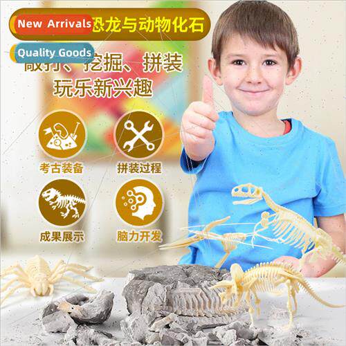 Children excavation educational toys dinosaur fossil skeleto