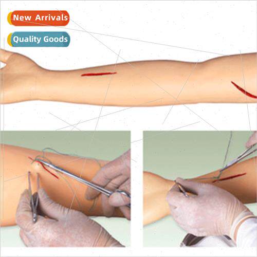 Surgical Suture Arm Model Surgical Suture Arm Training Model