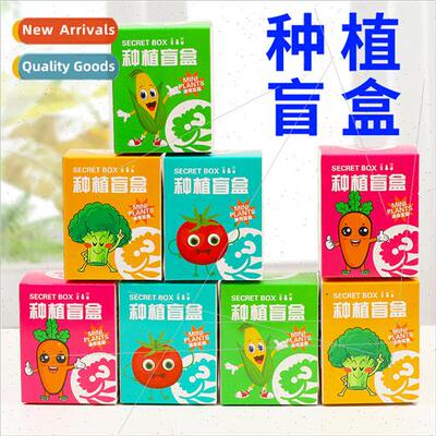 Planting blind box children plant pots small pots kindergart