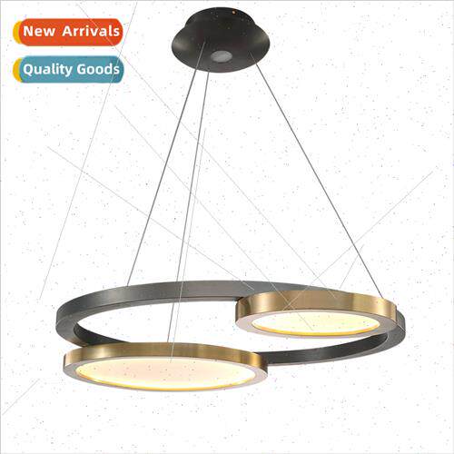 ght luxury post-modern stainless steel disc dining room chan