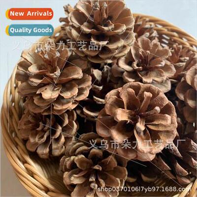 Christmas nativy pine cone Christmas e hanging holiday decor