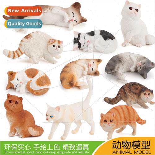poultry animal cat model Persian cat side sleep standing eye