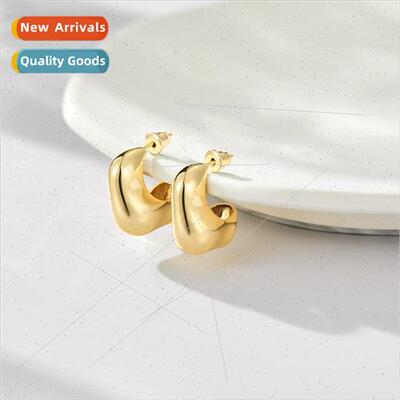 Europe geometric metal earrings ins earrings female texture