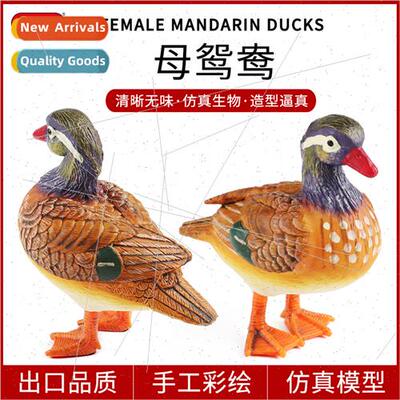 Enlightenment simulation swimming birds model mandarin ducks
